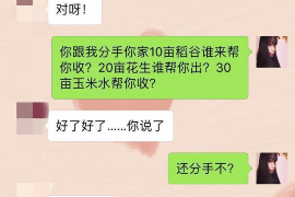 三门峡遇到恶意拖欠？专业追讨公司帮您解决烦恼